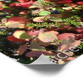 アラスカベリーポスター ポスター (角)