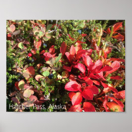 アラスカベリーポスター ポスター