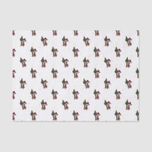 アラスカホリデーブーツ 薄葉紙 (正面)