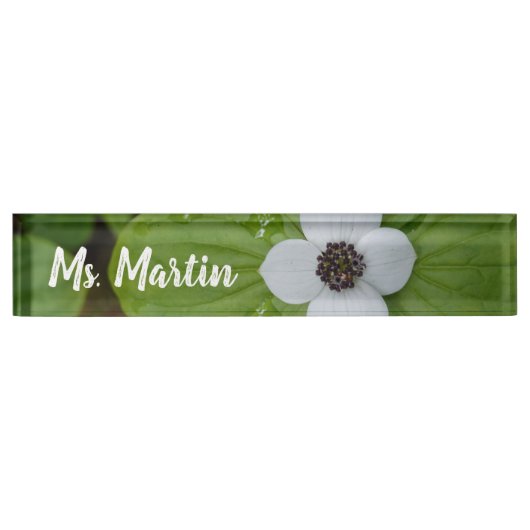 アラスカホワイトドグウッドフラワー先生 デスクネームプレート (正面)