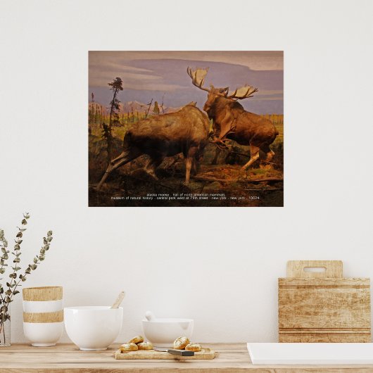 アラスカムース ポスター (キッチン)