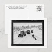 アラスカンのドッグスリング&アーミー・トラック ポストカード (正面/裏面)