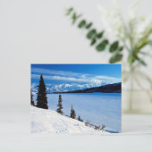 アラスカンの風景、ラベル、 ポストカード (スタンド正面)