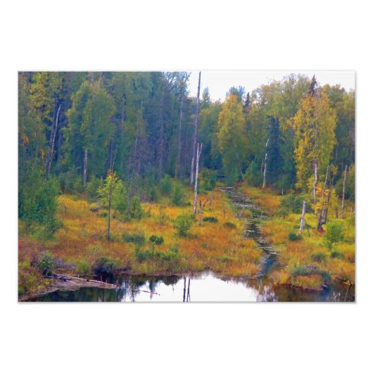 アラスカンアドベンチャー – ランドスケープ#6 フォトプリント            (正面)