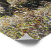 アラスカンカウムースふくらはぎ ポスター (角)