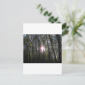 アラスカンサン ポストカード (スタンド正面)