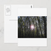 アラスカンサン ポストカード (正面/裏面)