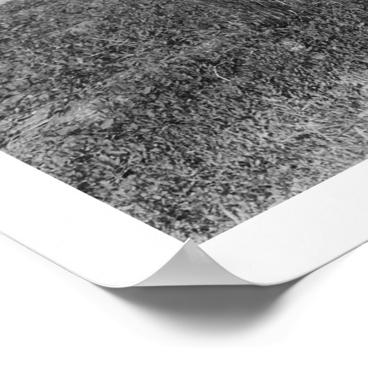 アラスカンドッグカート輸送1916 ポスター (角)