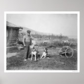 アラスカンドッグカート輸送1916 ポスター (正面)