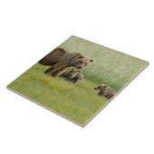 アラスカンブラウンベア種と三つのカブ、ウルソス タイル (側面)