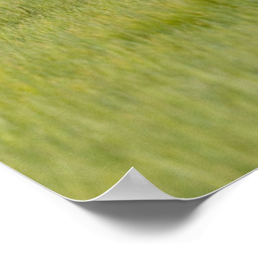 アラスカンブラウンベア種と三つのカブ、ウルソス ポスター (角)