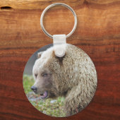 アラスカンブラウンベア キーホルダー (正面)