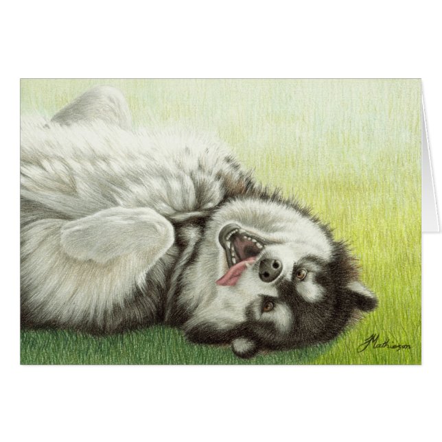 アラスカンマラミュートの圧延 (正面横)