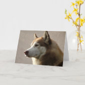 アラスカンマラミュート犬の写真 カード (黄色い花)