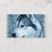 アラスカンマラミュート犬の名刺 名刺 (裏面)