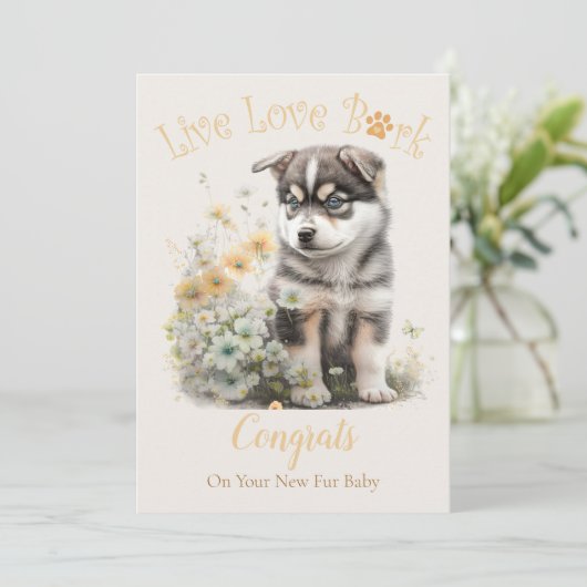 アラスカンマラミュート犬の里親募集、ガッチャデイ カード (スタンド正面)