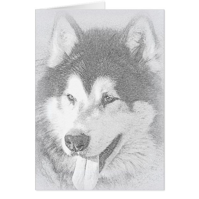 アラスカンマラミュート (正面)