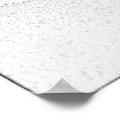 アラスカンマラムテス ポスター (角)