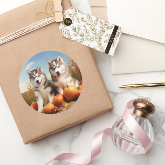 アラスカンマラムテパピオータムデライトカボチャ ラウンドシール (ギフト)