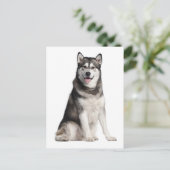 アラスカンマラムテパピードッグハガキ ポストカード (スタンド正面)