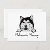 アラスカンマラムテモミー ポストカード (正面/裏面)