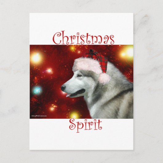 アラスカンマラムテ精神 ポストカード (正面)