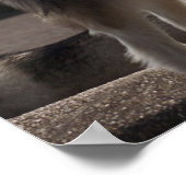 アラスカンマラムテ ポスター (角)