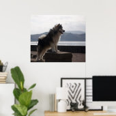 アラスカンマラムテ ポスター (ホームオフィス)