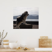 アラスカンマラムテ ポスター (キッチン)