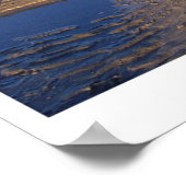 アラスカンマラムテ ポスター (角)