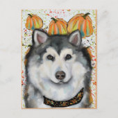 アラスカンマラムテ ポストカード (正面)