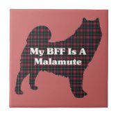 アラスカンマラムテBFF タイル (正面)