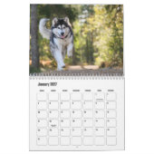 アラスカンマラムートカレンダー カレンダー (1月 2027)