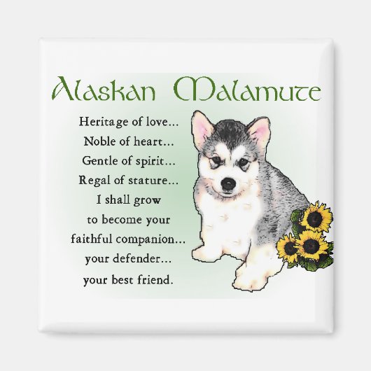 アラスカンマラムートギフト マグネット (正面)