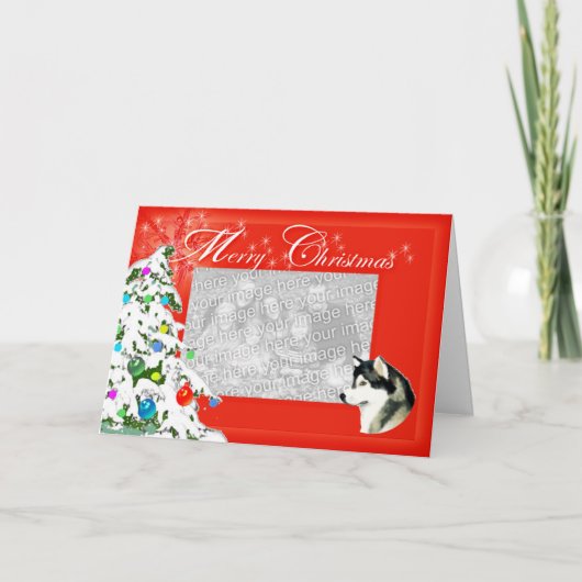 アラスカンマラムートクリスマスフォトカード シーズンカード (正面)