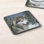 アラスカンマラムートコースター コースター (左側)