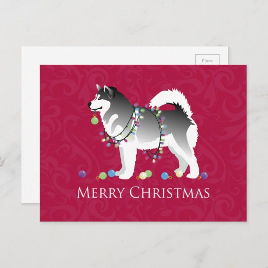 アラスカンマラムートドッグメリークリスマスデザイン シーズンポストカード (正面/裏面)