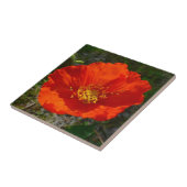 アラスカンレッドポピーカラフルの花 タイル (側面)