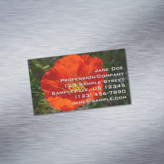 アラスカンレッドポピーカラフルの花 マグネット名刺 (インサイチュ)