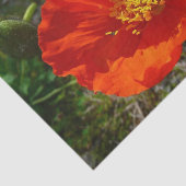 アラスカンレッドポピーカラフルの花 薄葉紙 (詳細)