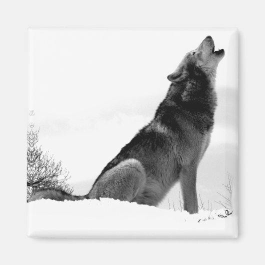 アラスカン木材ウルフリフィグマグネット マグネット (正面)