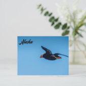 アラスカン葉書のホーンパフィン ポストカード (スタンド正面)