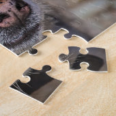 アラスカン・ハスキー犬。 ジグソーパズル (側面)