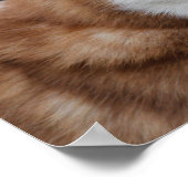 アラスカン・ハスキー犬 ポスター (角)