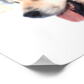 アラスカン・ハスキー・ラブ ポスター (角)