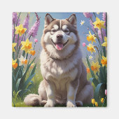 アラスカン・マラミュートの春の花の絵画 マグネット (正面)