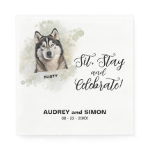 アラスカン・マラミュートの犬の写真「Sit, Stay & Celebrate」