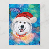 アラスカン・マラミュート犬のクリスマス シーズンポストカード (正面)