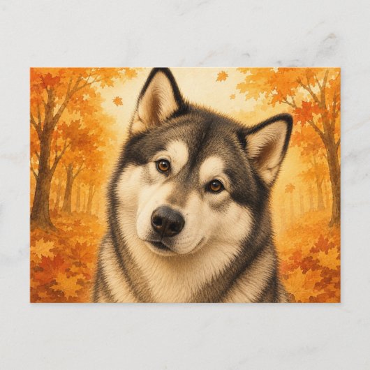 アラスカン・マラミュート 秋の森の犬 ポストカード (正面)