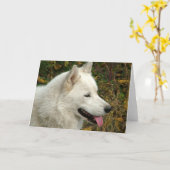 アラスカン・マラムート・ドッグス カード (黄色い花)